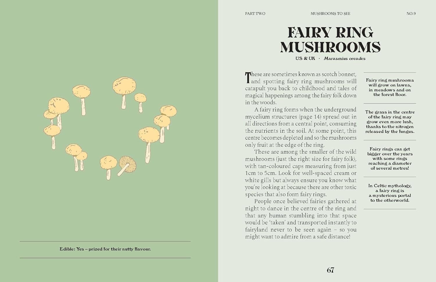 Mushrooms
