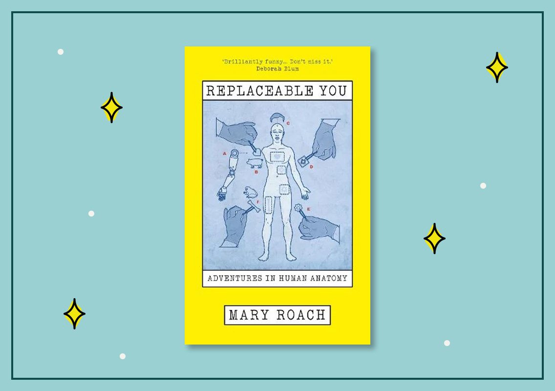 Replaceable You