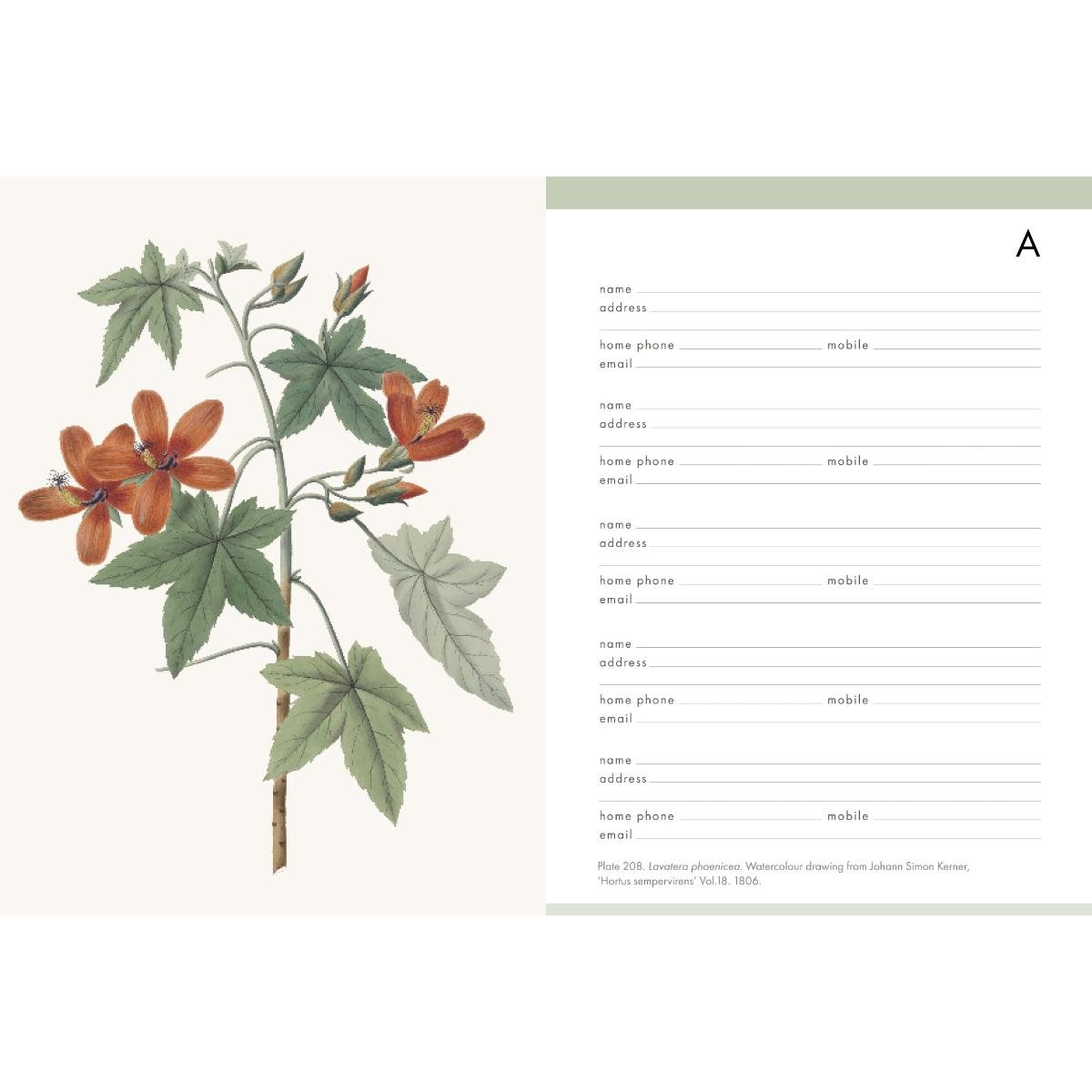Royal Horticultural Society Desk Address Book