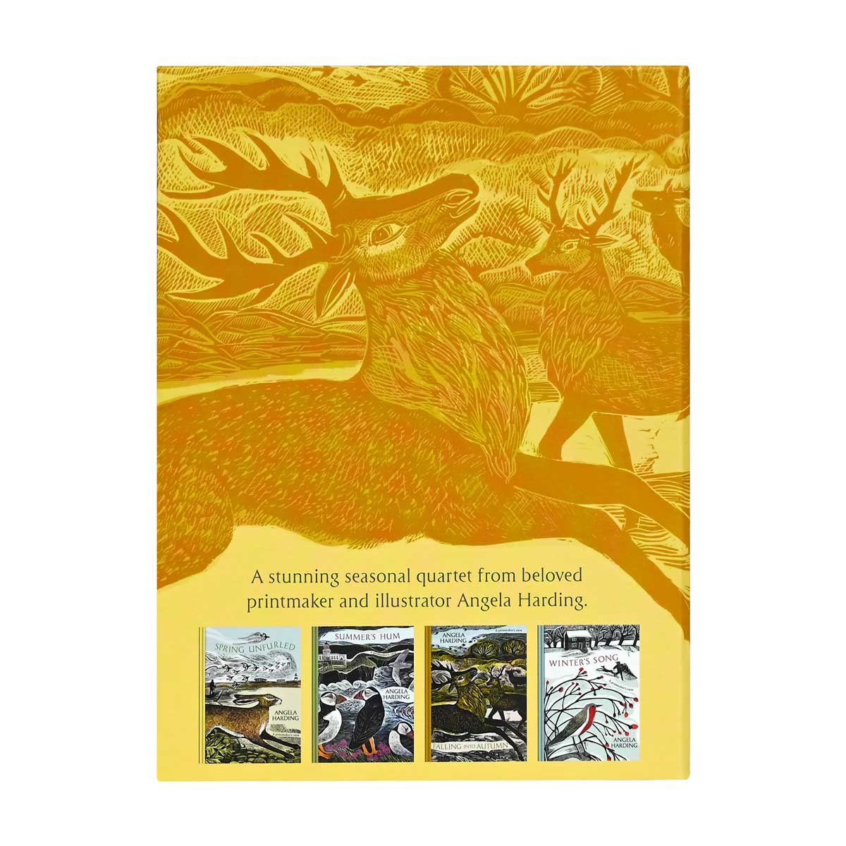 Angela Harding Seasonal Quartet Boxset
