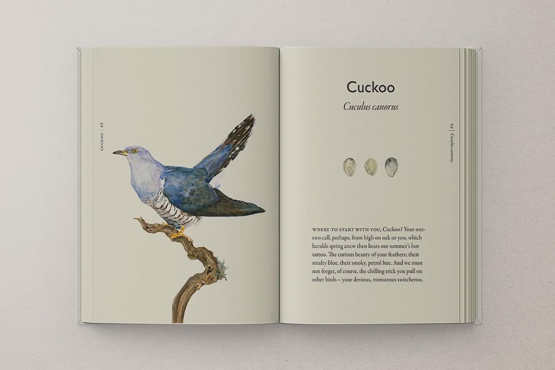 The Book of Birds