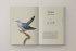 The Book of Birds