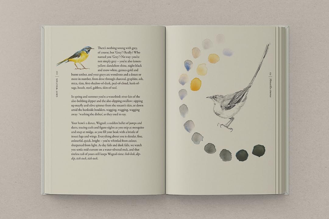 The Book of Birds