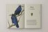 The Book of Birds