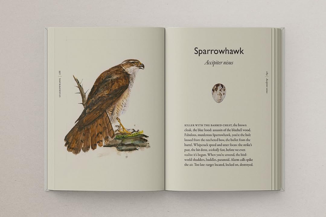 The Book of Birds