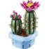 Flowering Cactus