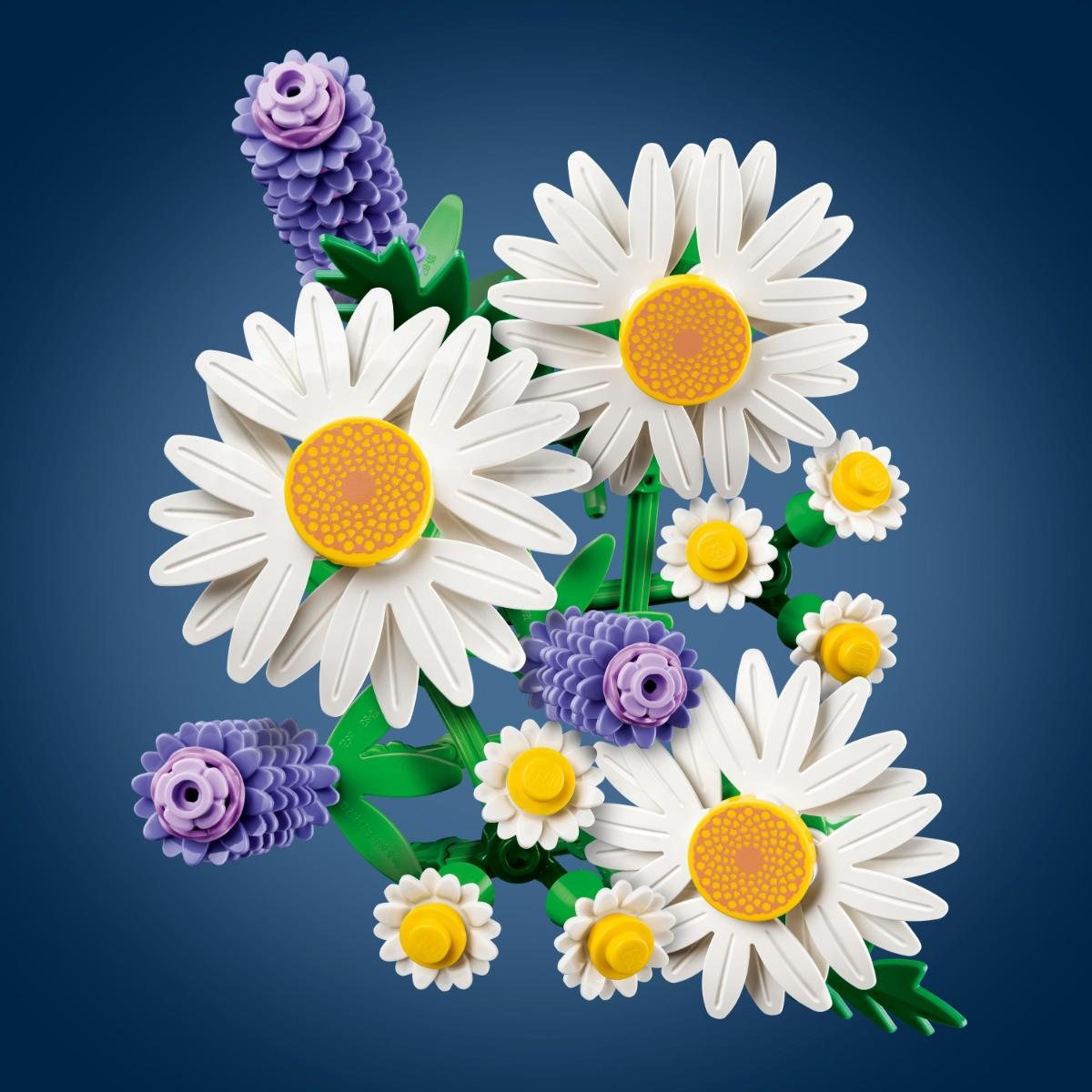 Daisies