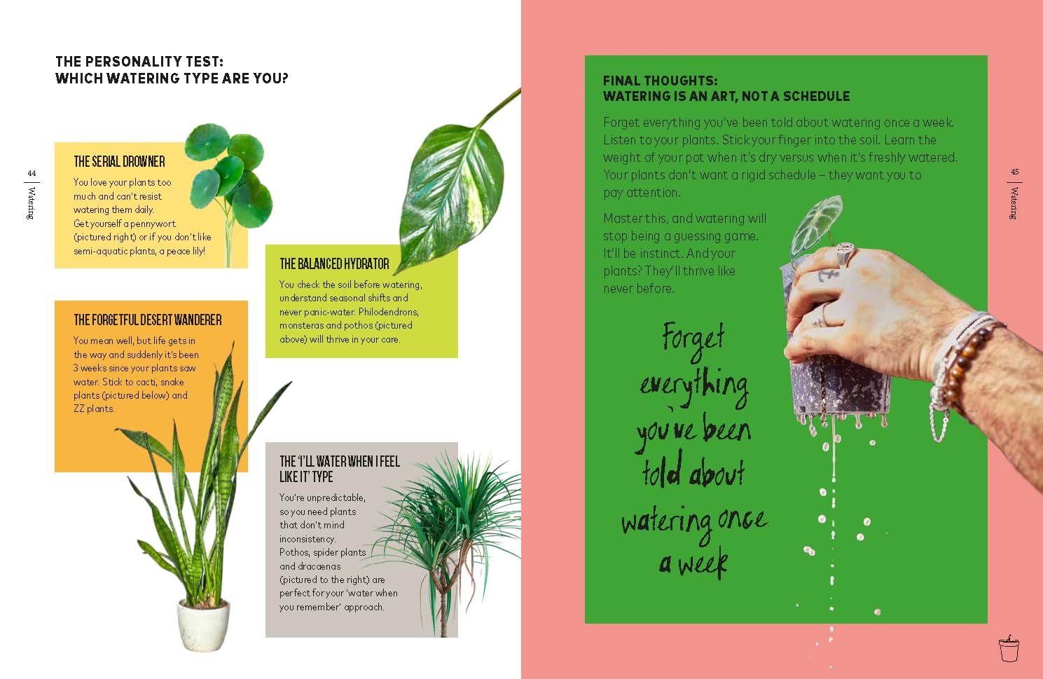 You're Overwatering It!