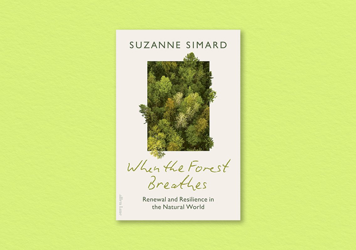 When the Forest Breathes by Suzanne Simard