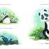 The Panda-Badger