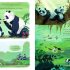 The Panda-Badger