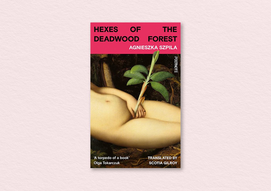 Hexes of the Deadwood Forest by Agnieszka Szpila (author), Scotia Gilroy (translator)