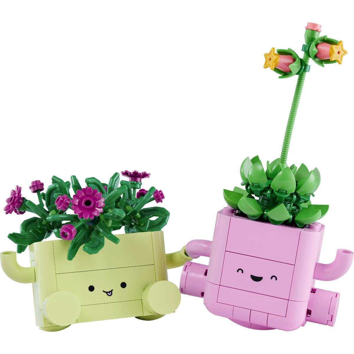 Rocking Plants