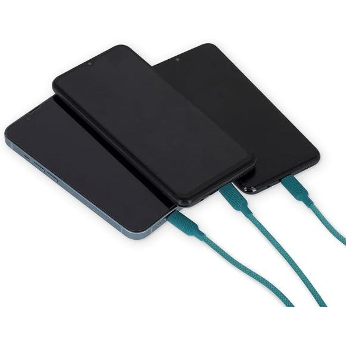 Charging & Sync Multicable  Cactus