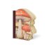 Toadstools Hardback Notebook