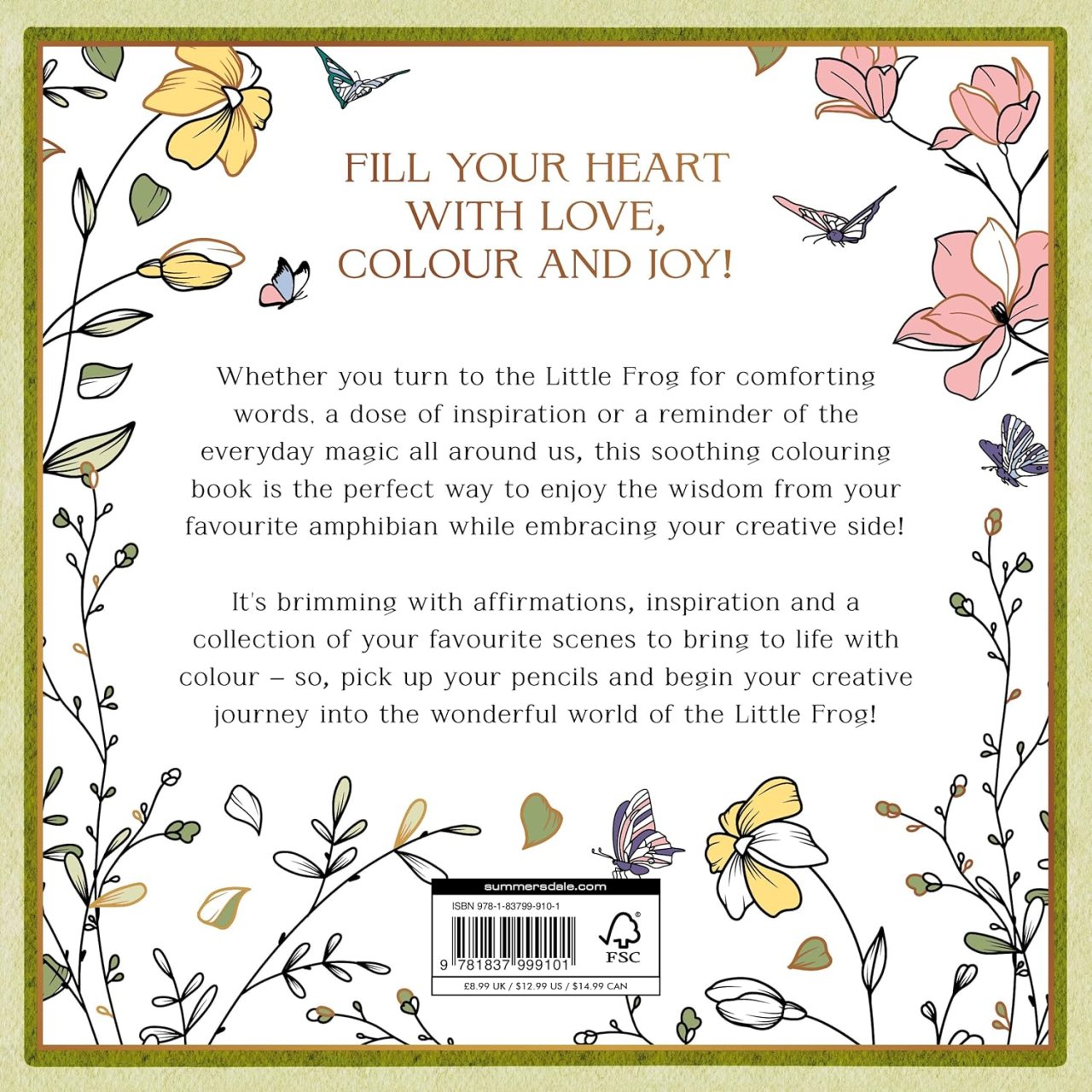 The Little Frog Colouring Book