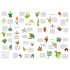Around The World In 50 Orchids 1000 Piece Jigsaw Puzzle