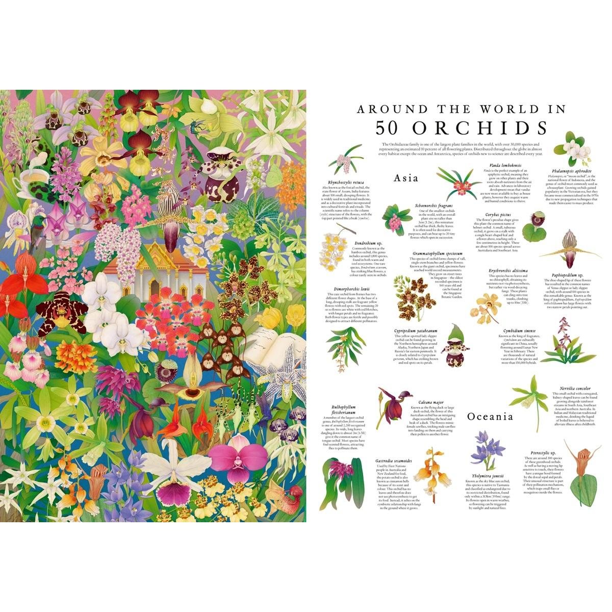 Around The World In 50 Orchids 1000 Piece Jigsaw Puzzle