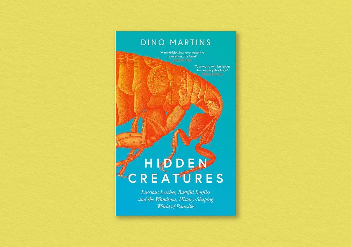 Hidden Creatures by Dino Martins