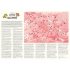 The World Of Little Women 1000 Piece Jigsaw Puzzle