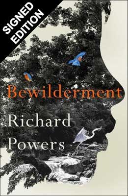 Bewilderment