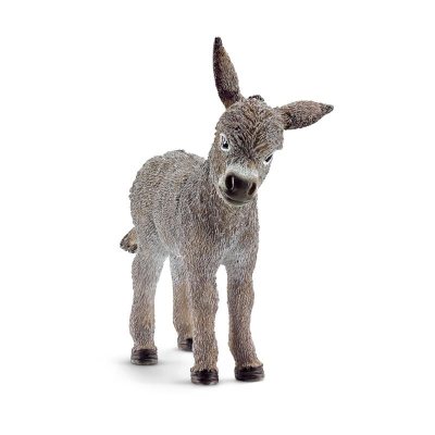 Donkey Foal New