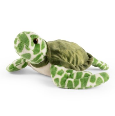 Sea Turtle