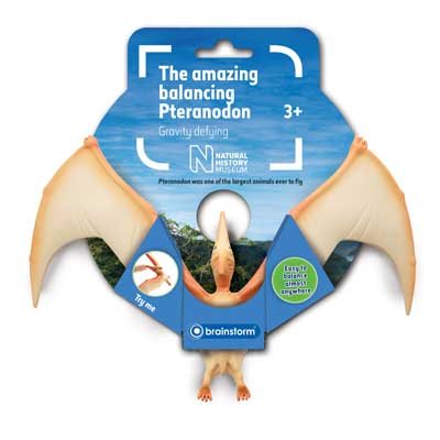 Balancing Pteranodon