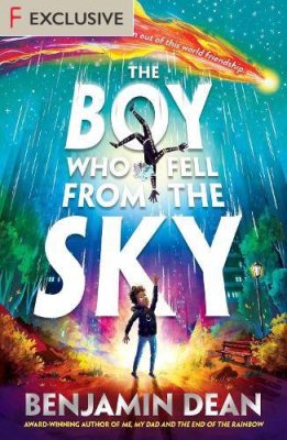 The Boy Who Fell From the Sky