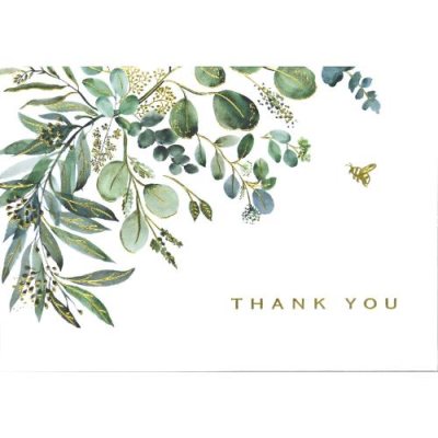 Eucalyptus14 Notecard Box