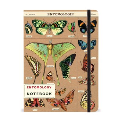 Large Entomology Notebook