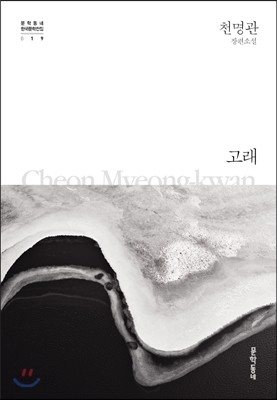 Whale - 고래 