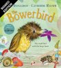 The Bowerbird