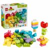 Colorful Creative Box