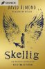 Skellig: the 25th Anniversary Illustrated Edition