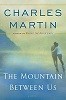The Mountain Between Us
