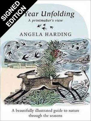 A Year Unfolding