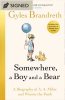 Somewhere, A Boy And A Bear