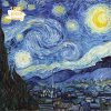Image of Adult Jigsaw Puzzle Van Gogh: Starry Night