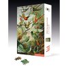 Image of V&A Hummingbirds 1000 Piece Jigsaw Puzzle