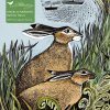 Image of Adult Jigsaw Puzzle Angela Harding: Rathlin Hares (500 pieces)