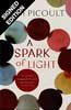 A Spark of Light